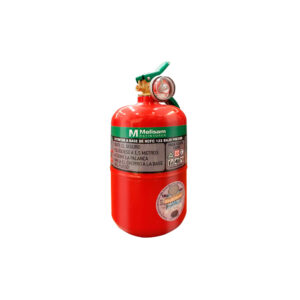 matafuegos Extintor 1 kg Automotor HCFC 123 O-4